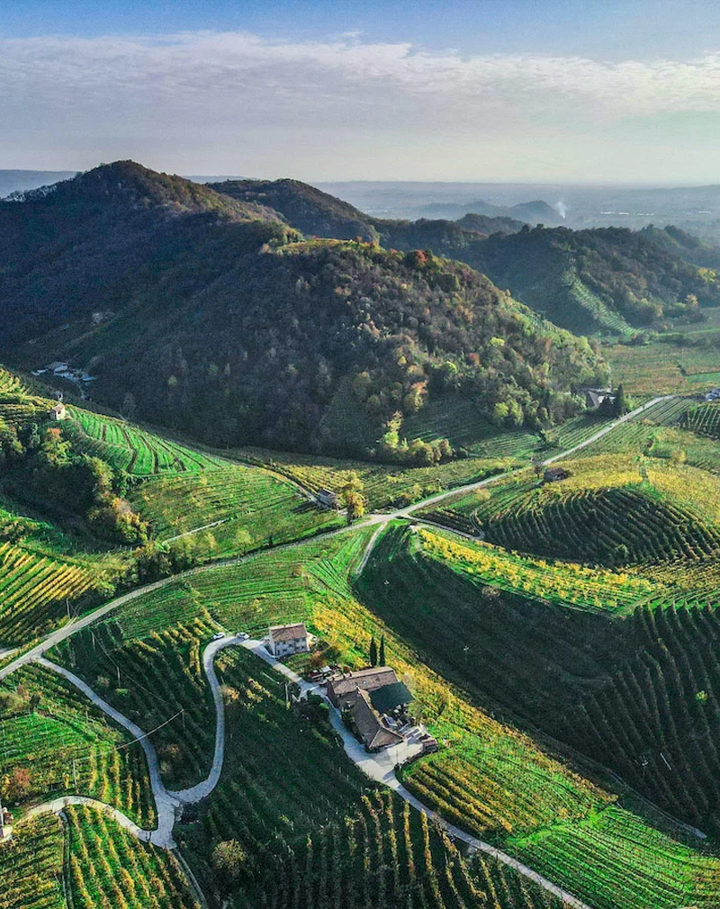 La Strada del Prosecco e la Pezzata Rossa