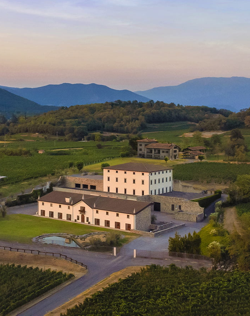 I vini del Sebino e la Bruna Alpina con Federico Bovarini (Brand Ambassador) di Muratori Franciacorta